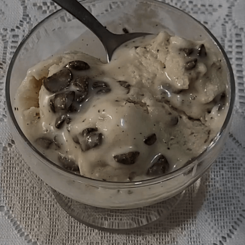 02 Receitas de Sorvete com Emulsificante Natural