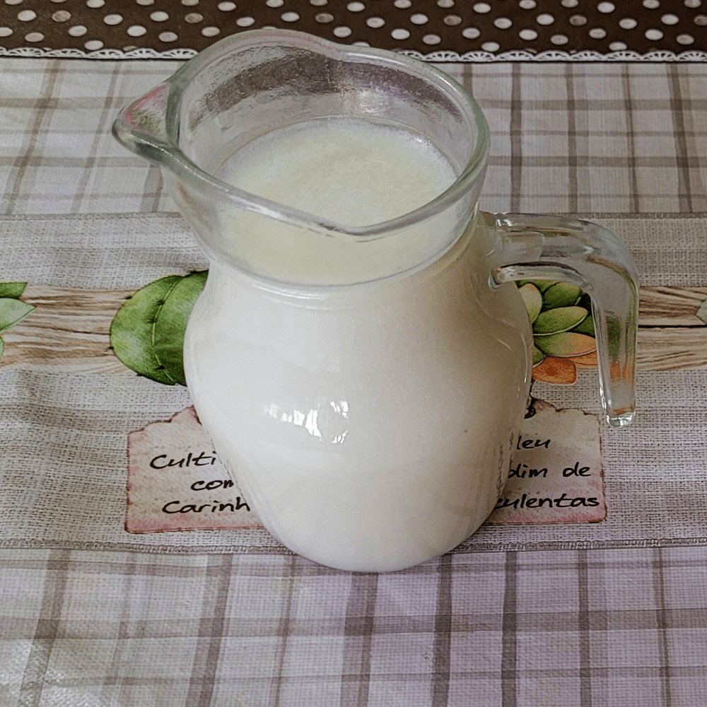 leite vegetal para mingau de aveia sem lactose