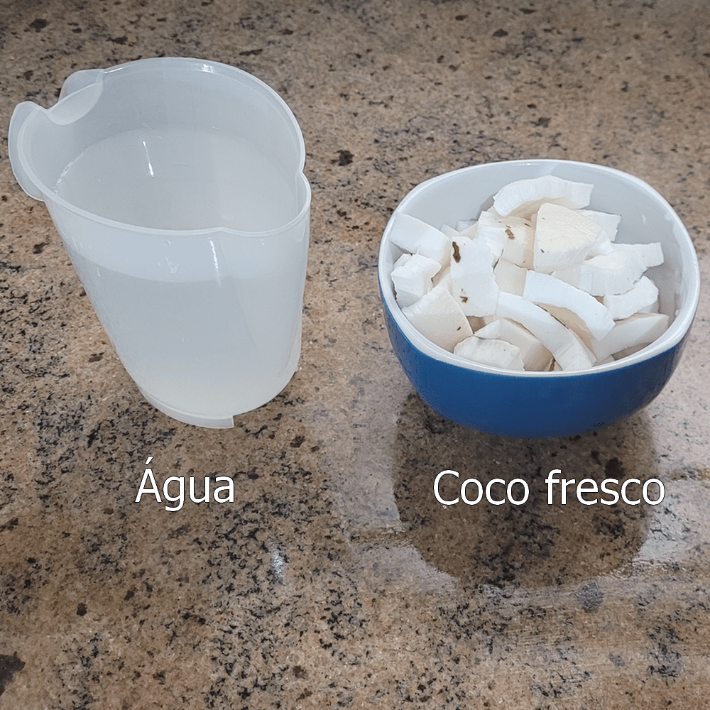 ingredientes do leite de coco caseiro