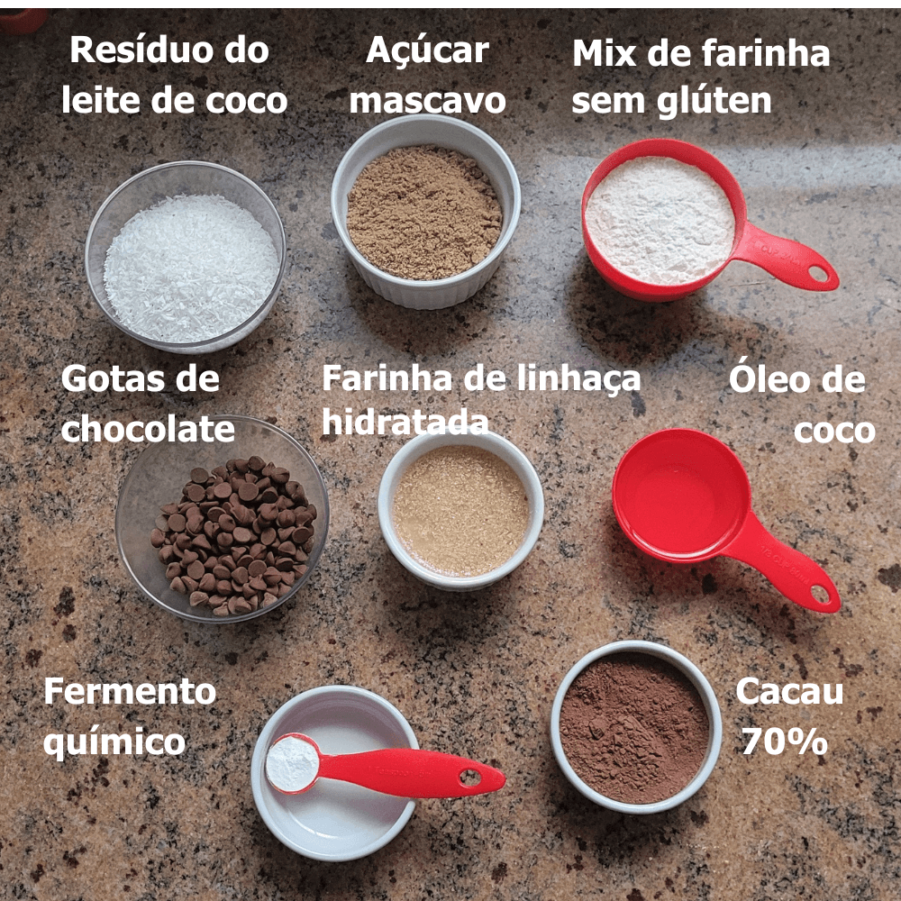 Cookies Veganos de Cacau sem glúten com Resíduo do Leite Vegetal de Coco